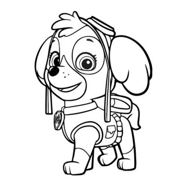 kleurplaat skye paw patrol