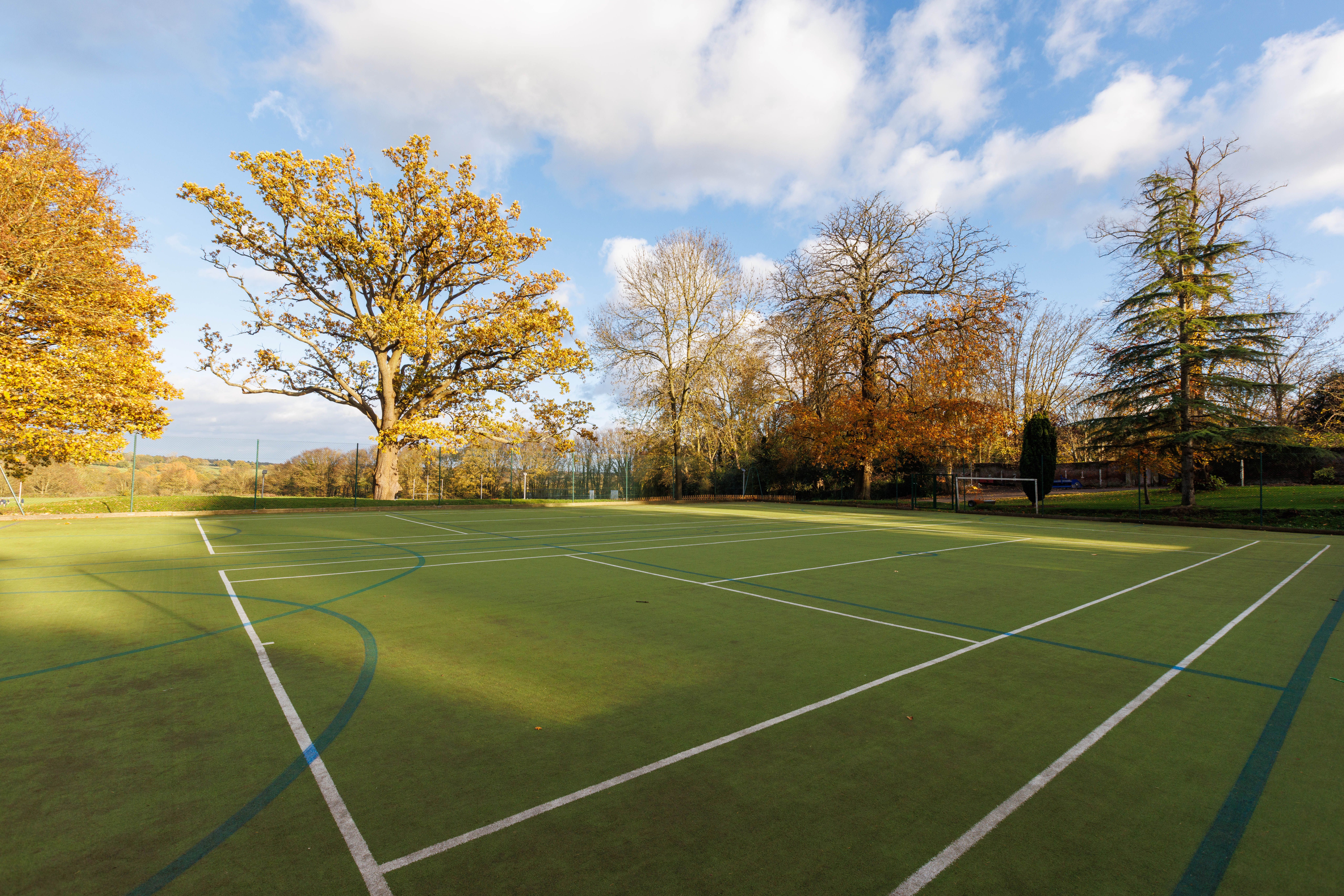 Image of a sports field 