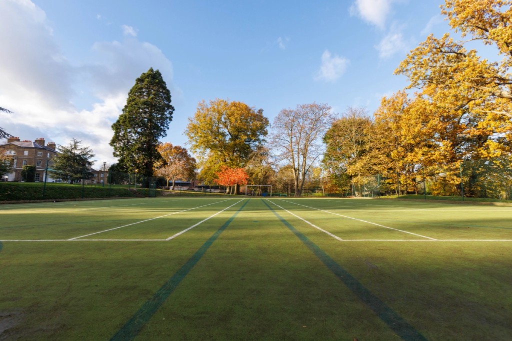 Image of a sports field 
