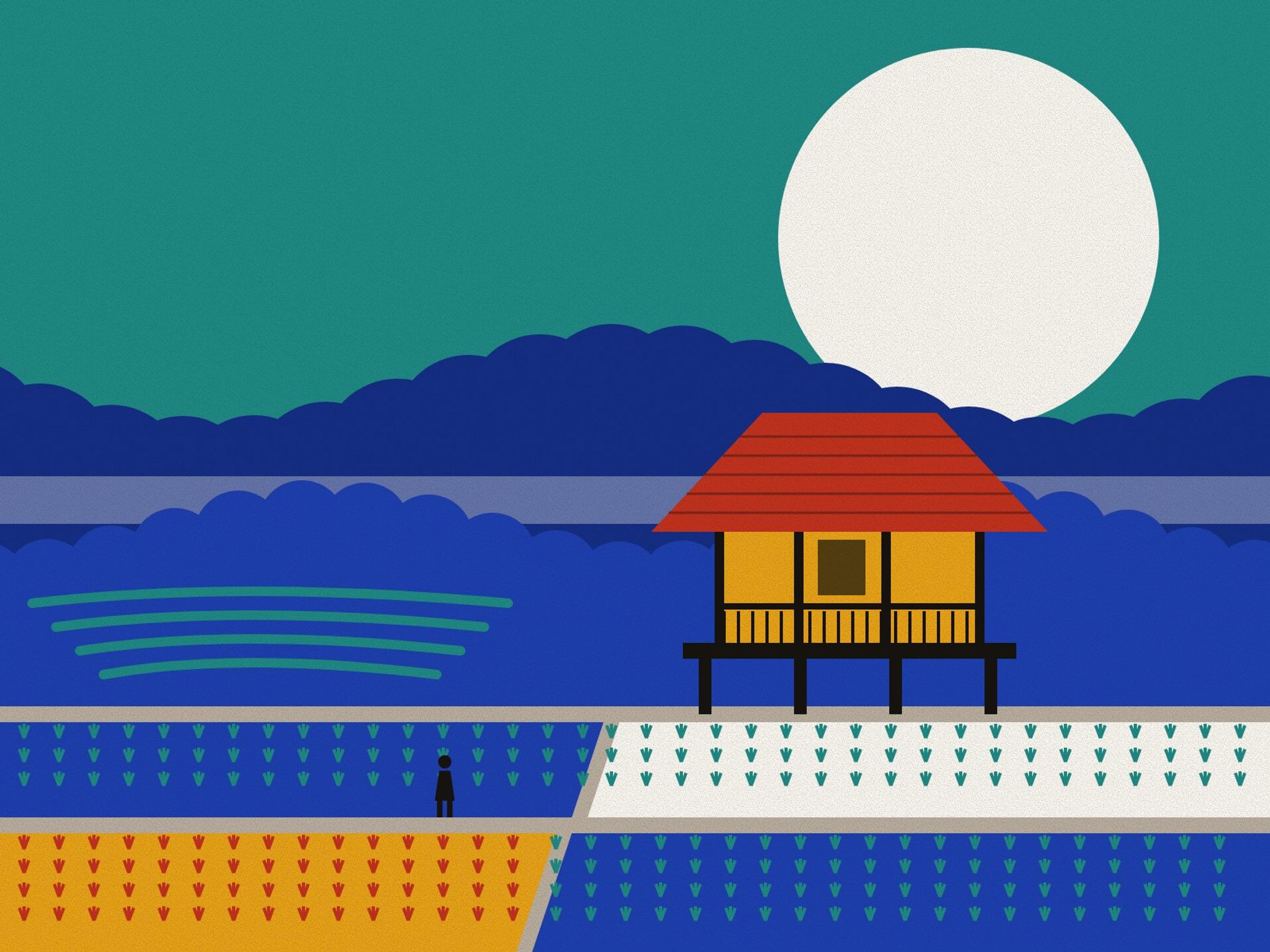 A wooden Caspian house on stilts with a deep veranda and a red tiled roof, before misty Hyrcanian forest and terraced tea, above flooded and ripening rice paddies, under a pale sun on turquoise.
