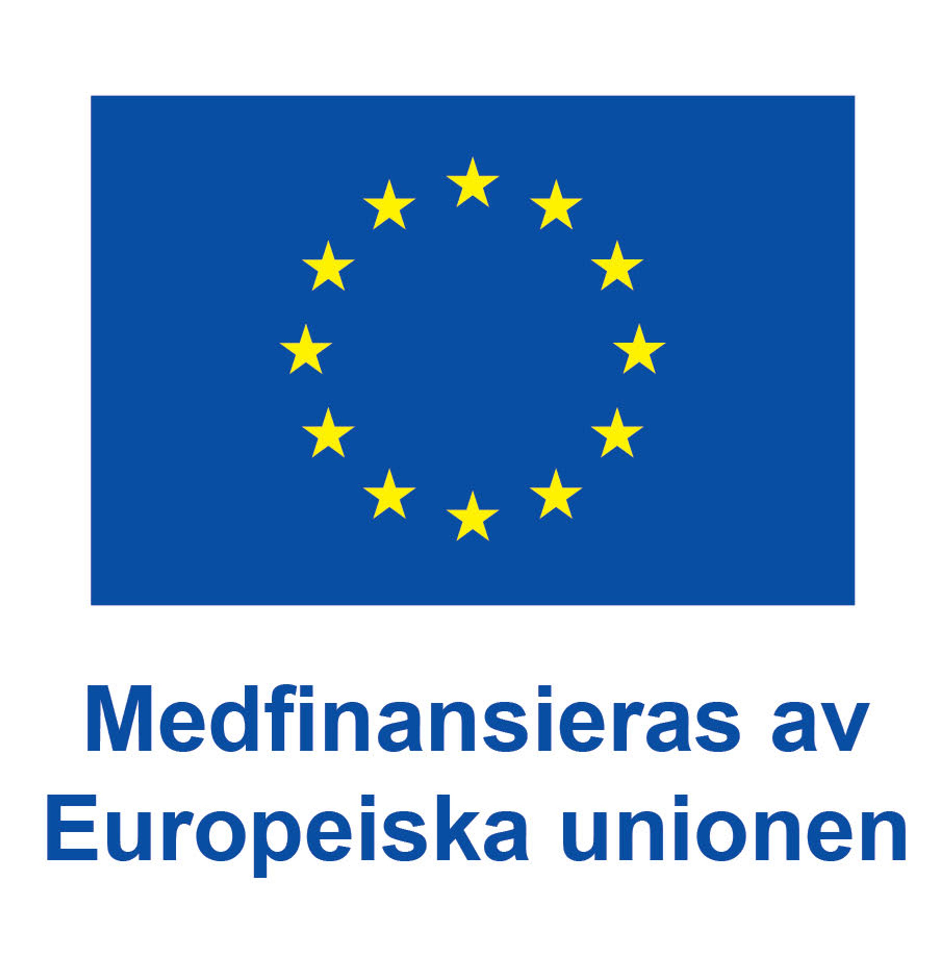 Medfinansiering av Europeiska unionen