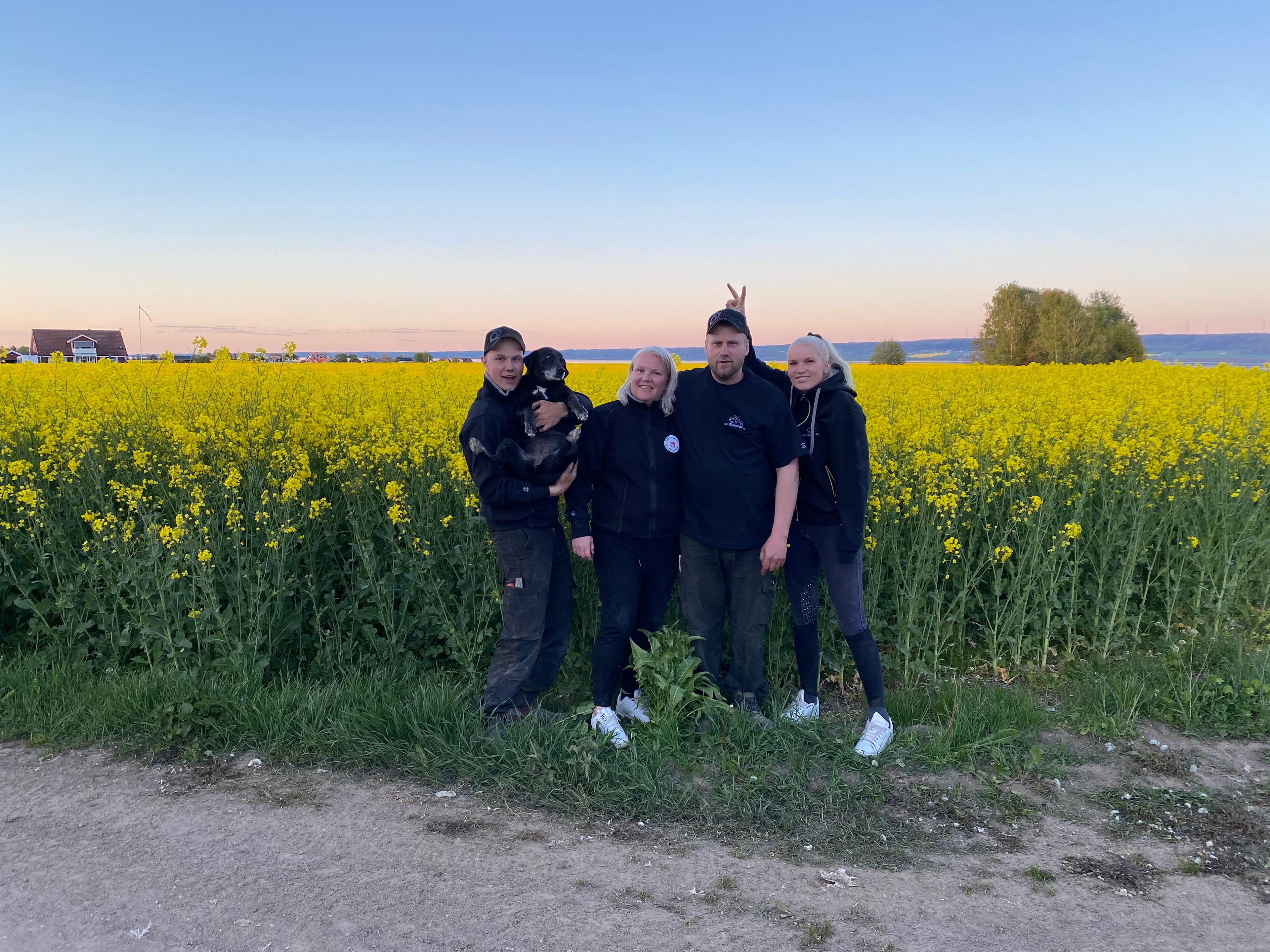 VisingsöGrisen