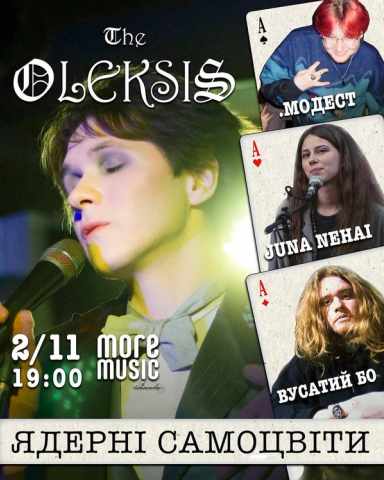 Постер The Oleksis