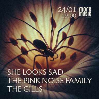 Poster She Looks Sad, The Pink Noise Family, The Gills