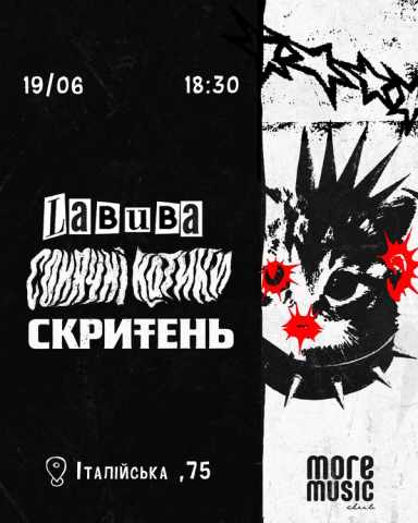Poster Сонячні Котики, Скритень, labuba
