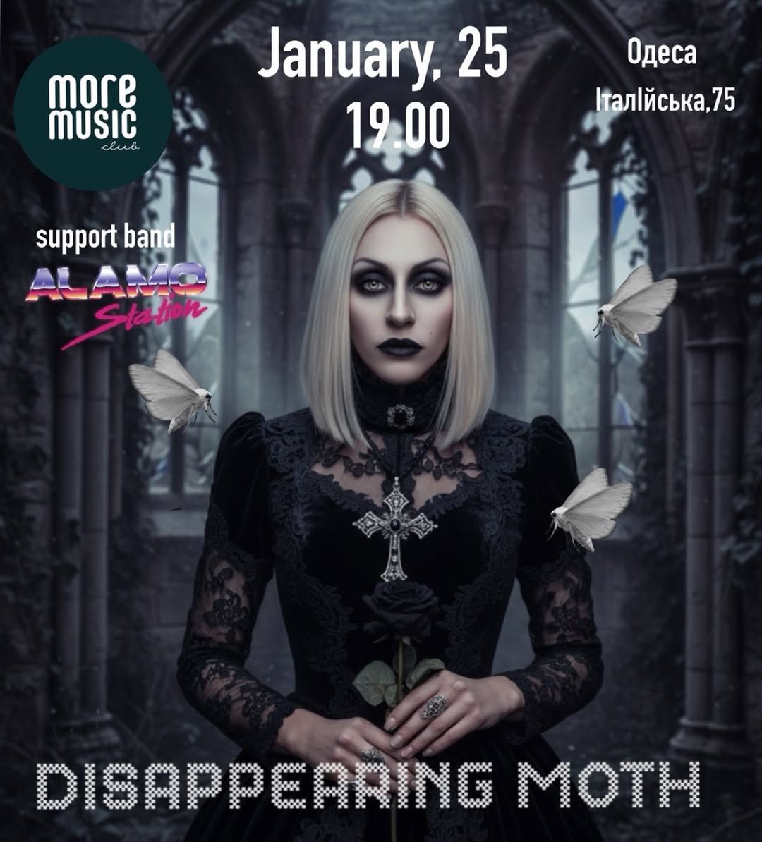 Постер Disappearing Moth