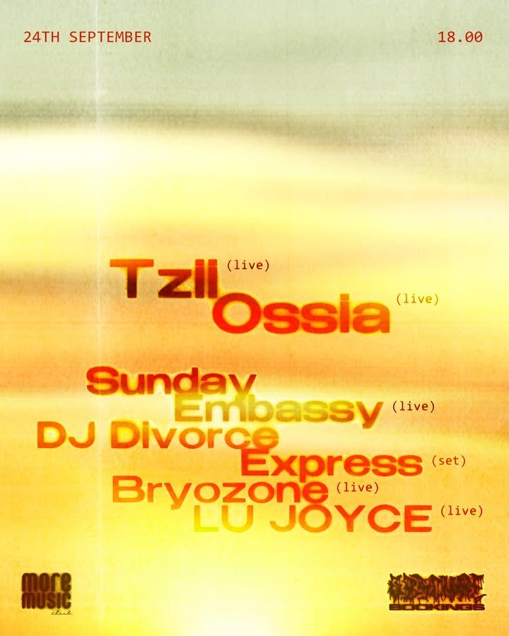 Постер Bryozone, Sunday Embassy, Tzii (BE), Lu Joyce, Ossia (UK), DJ Divorce Express