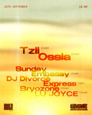 Poster Bryozone, Sunday Embassy, Tzii (BE), Lu Joyce, Ossia (UK), DJ Divorce Express