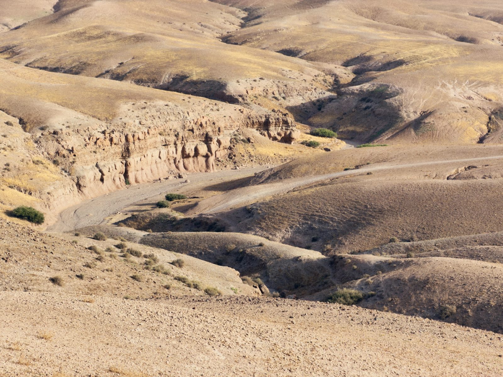 MAROC