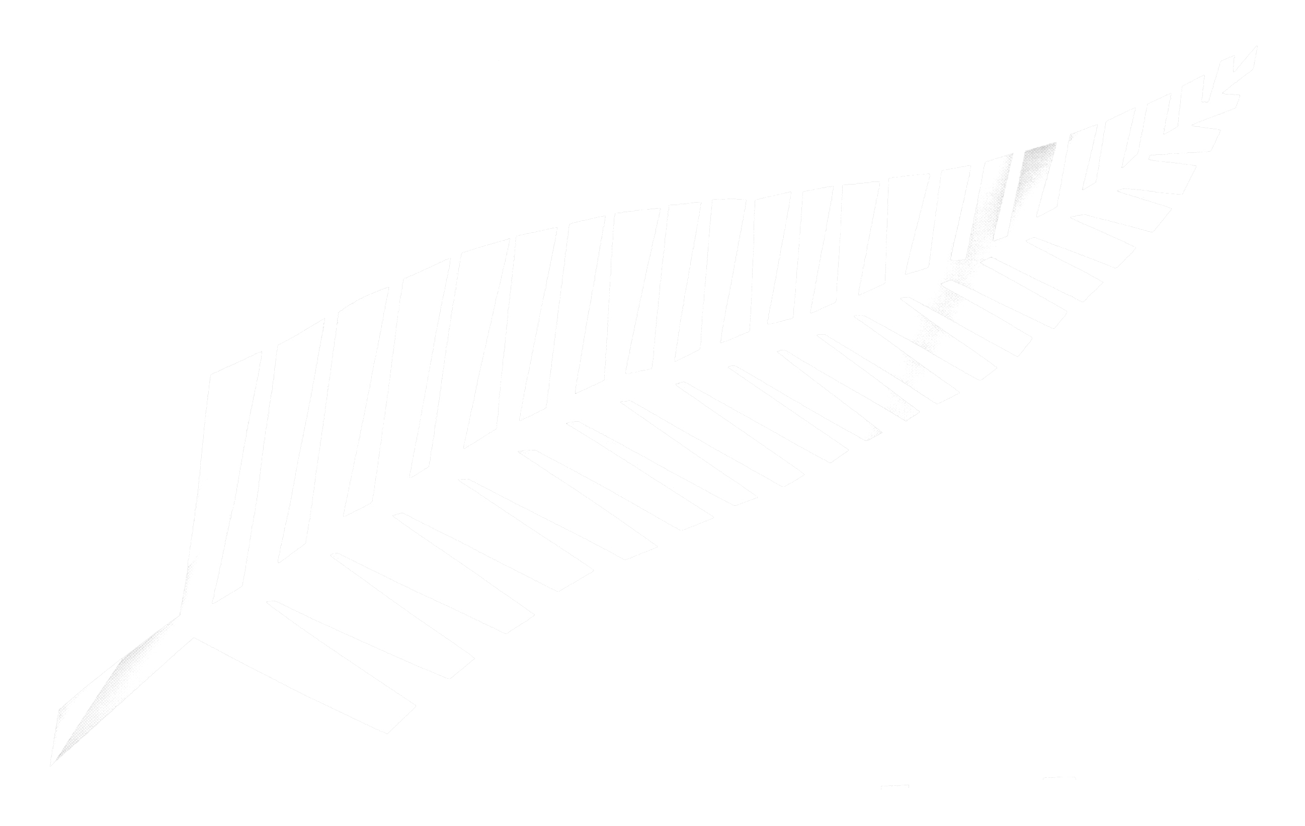 NZ Silver fern