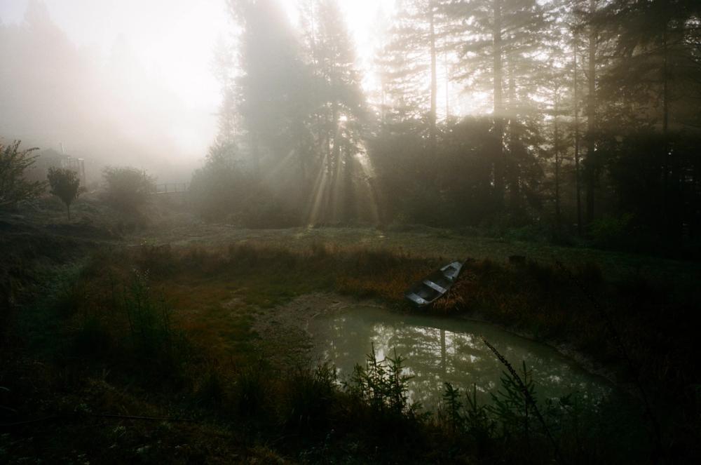 Salmon Creek Farm | Media item 3 | Nick Rosser