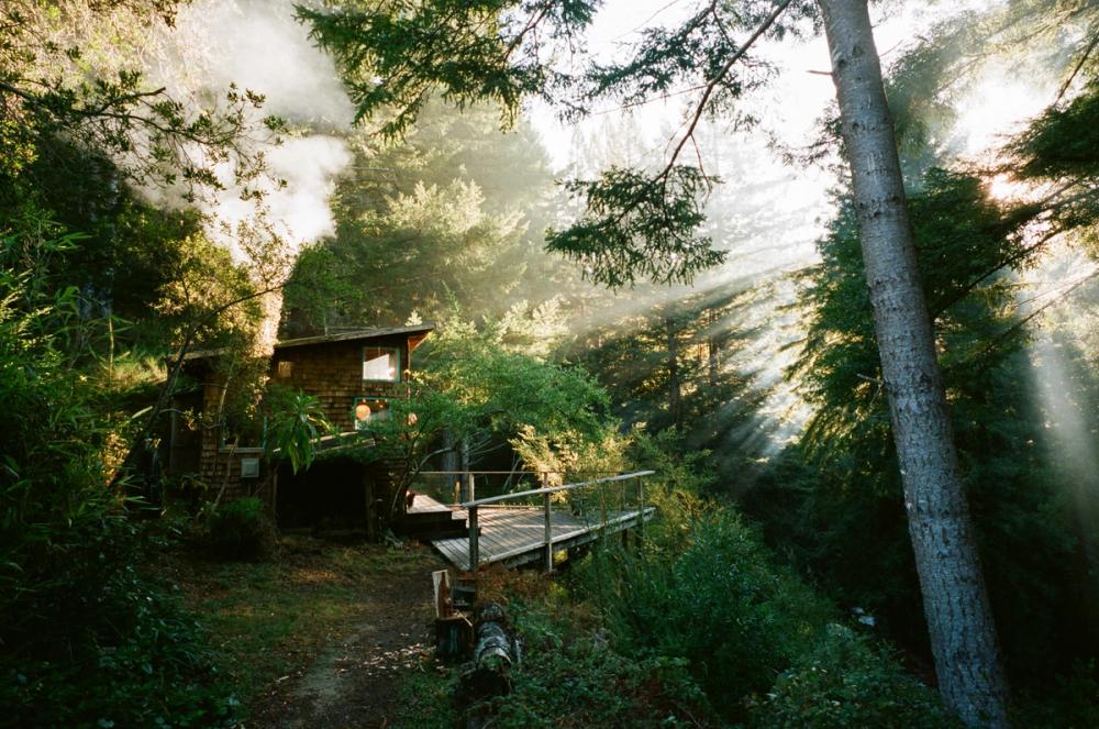 Salmon Creek Farm | Media item 1 | Nick Rosser