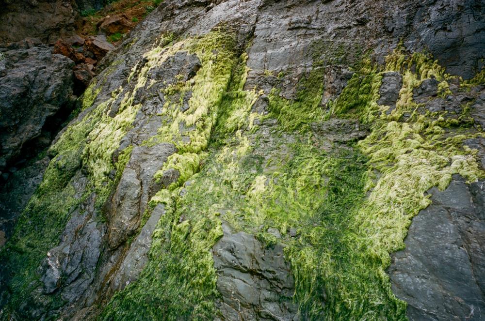 Salmon Creek Farm | Media item 6 | Nick Rosser