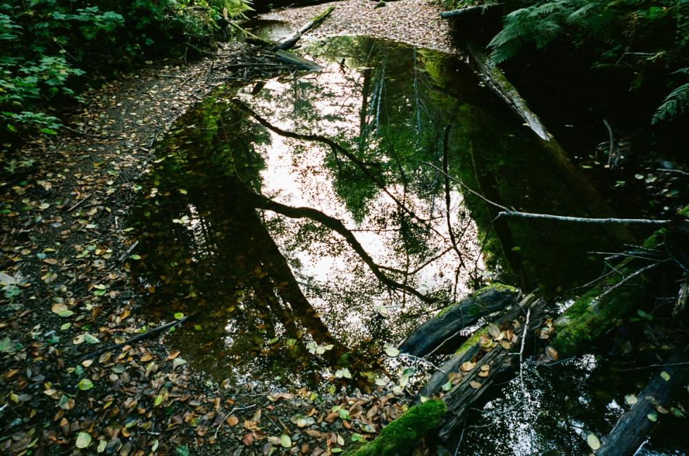 Salmon Creek Farm | Media item 5 | Nick Rosser