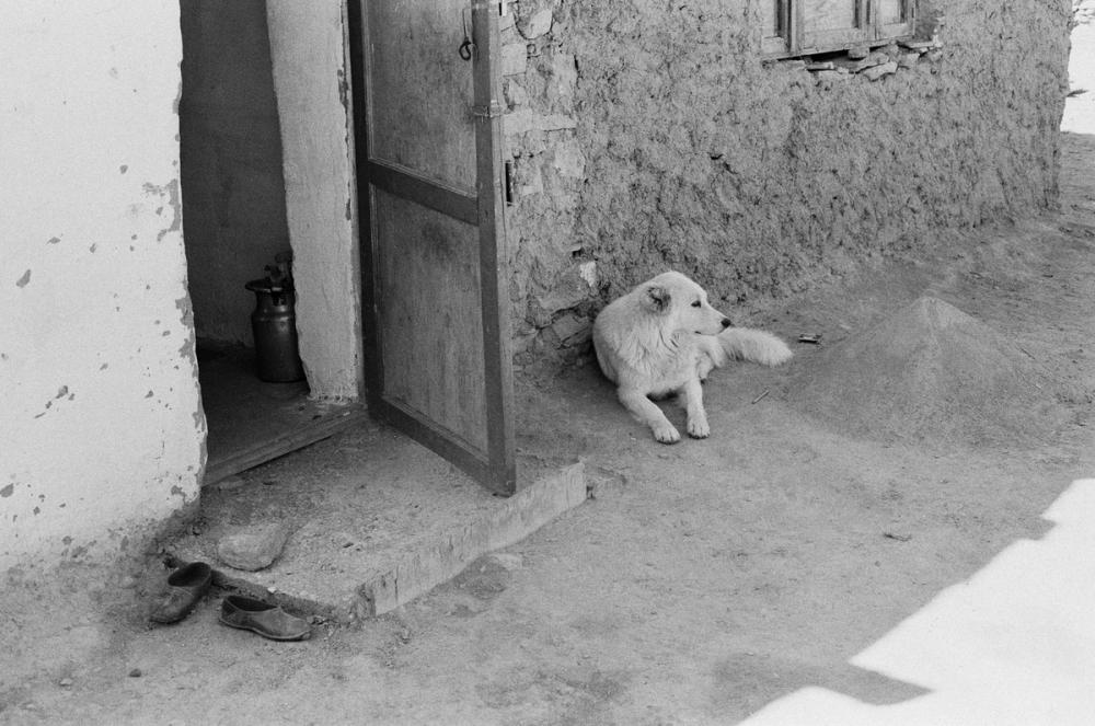 Tajikistan | Media item 10 | Nick Rosser