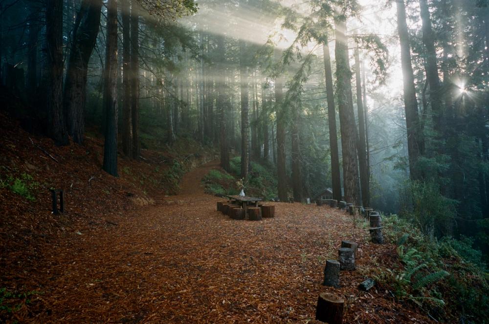 Salmon Creek Farm | Media item 7 | Nick Rosser