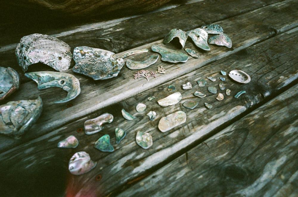 Salmon Creek Farm | Media item 2 | Nick Rosser