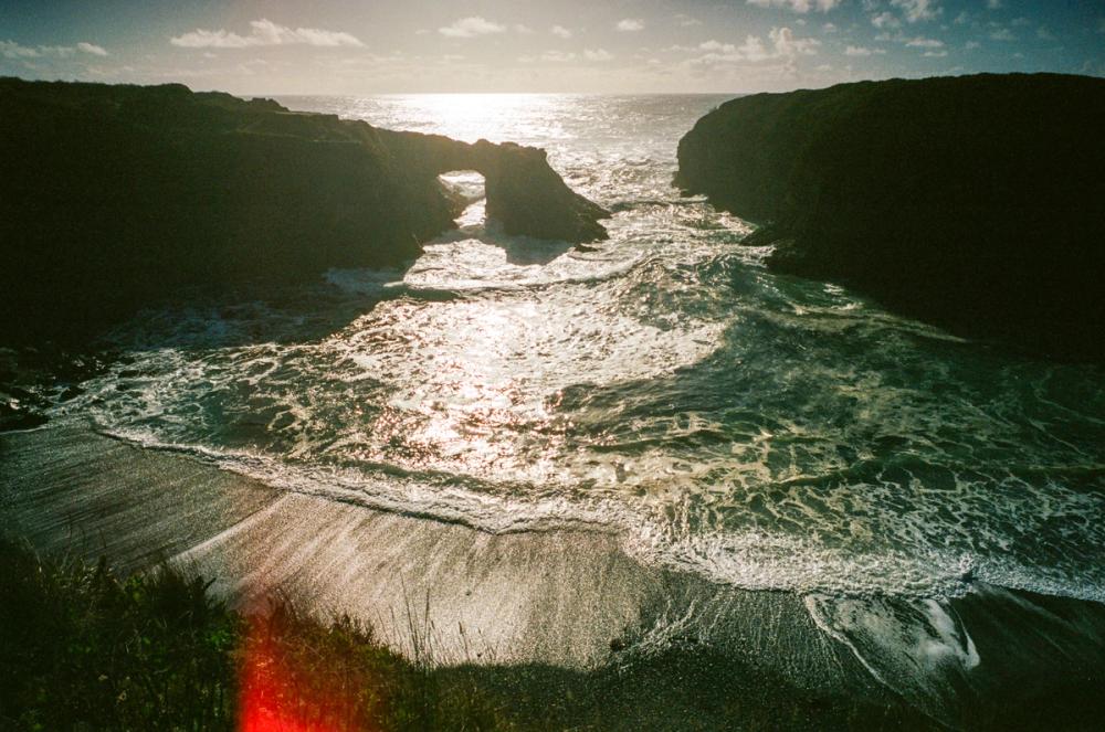 Salmon Creek Farm | Media item 4 | Nick Rosser