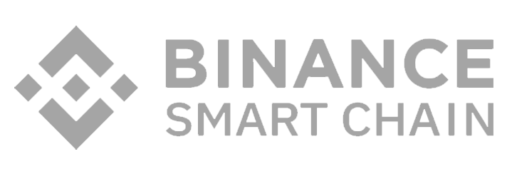binance smart chain partner image