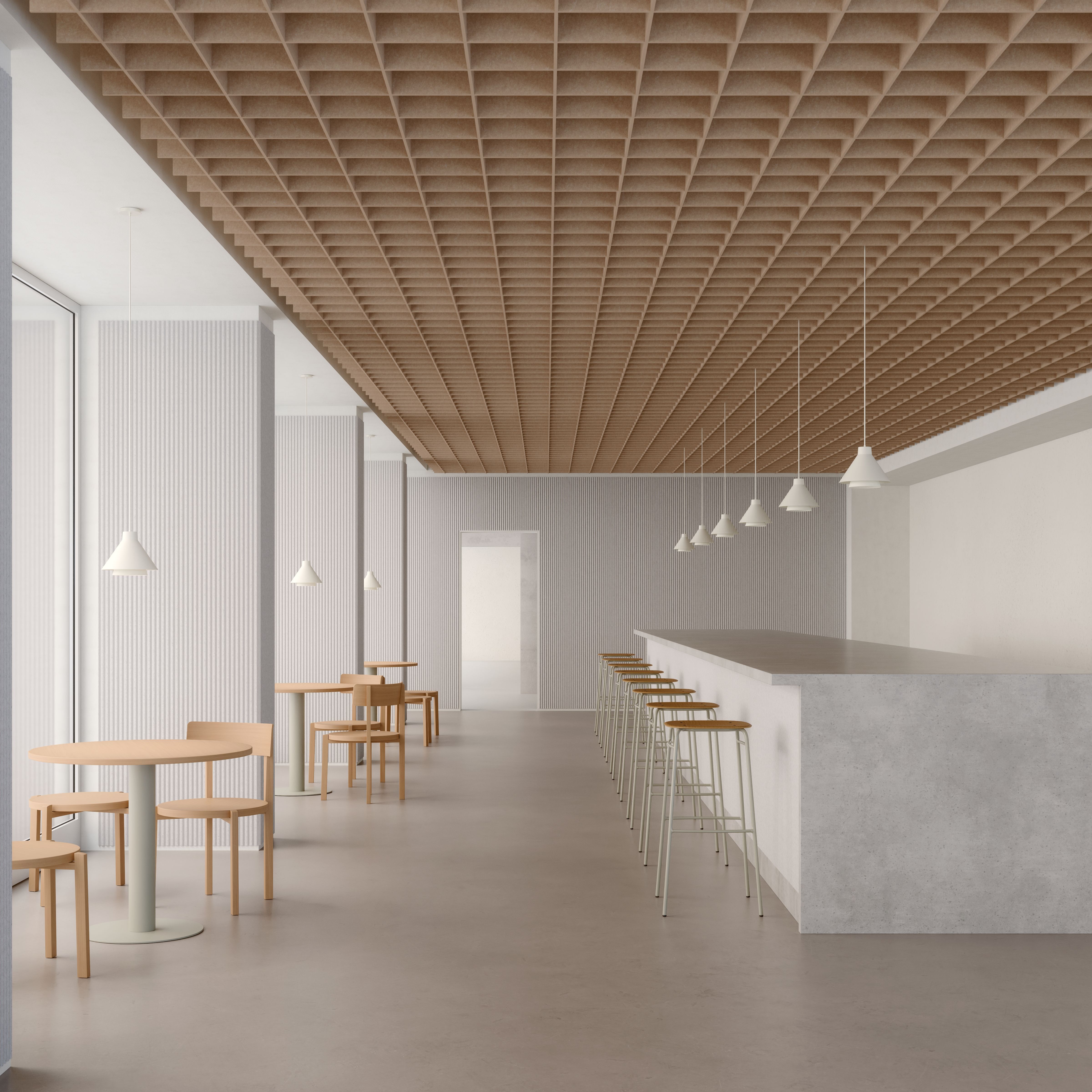 Acoustic Ceiling System