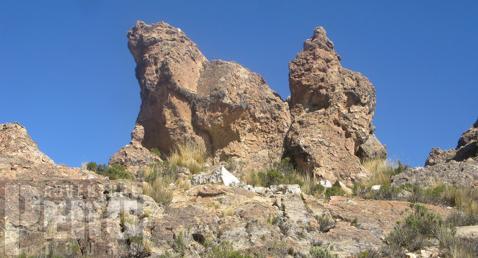 TRIP TO SUMBAY CAVE PAINTINGS - RUPESTRIAN ARTS AND PAMPAS CAÑAHUAS WILDLIFE - Photo 4