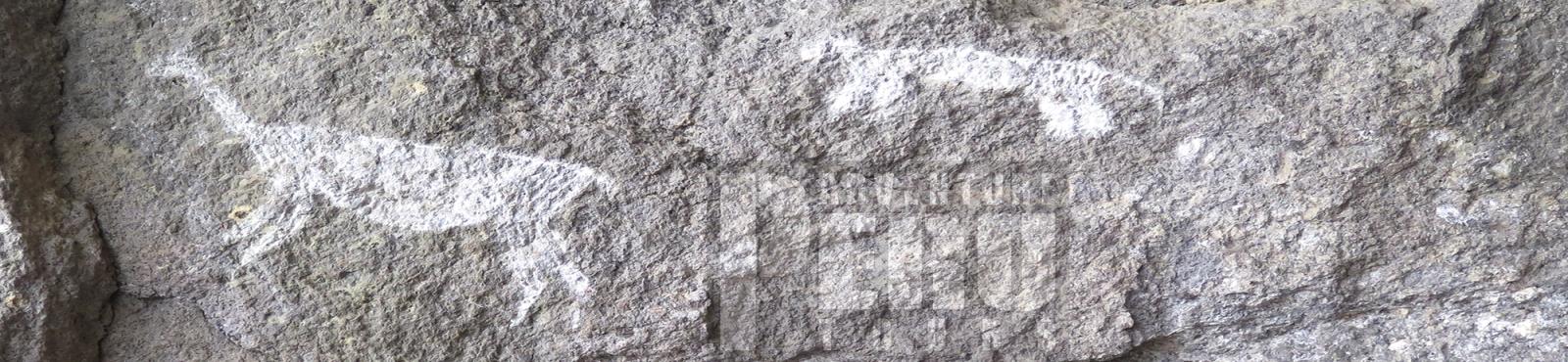 TRIP TO SUMBAY CAVE PAINTINGS - RUPESTRIAN ARTS AND PAMPAS CAÑAHUAS WILDLIFE - Photo 1