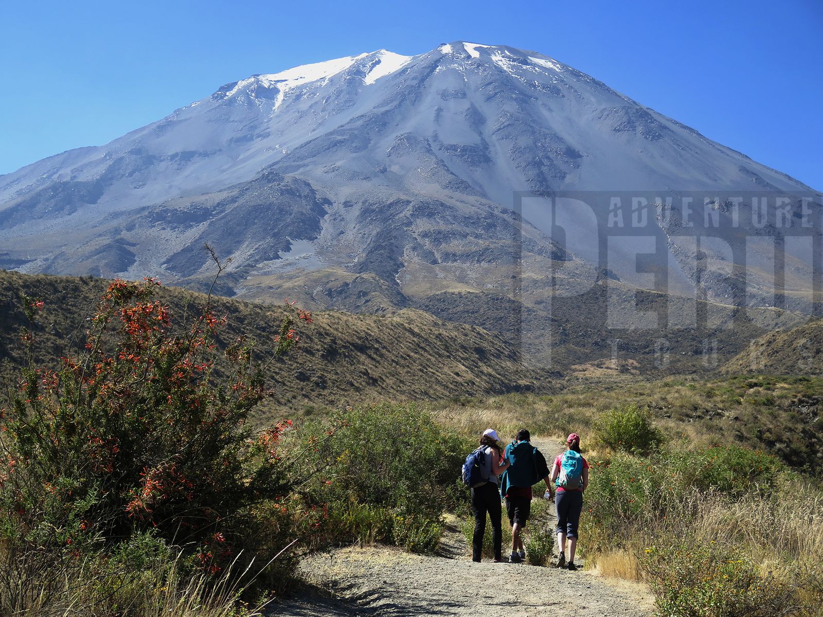 HALF DAY TREK TO VOLCAN MISTI - Photo 5