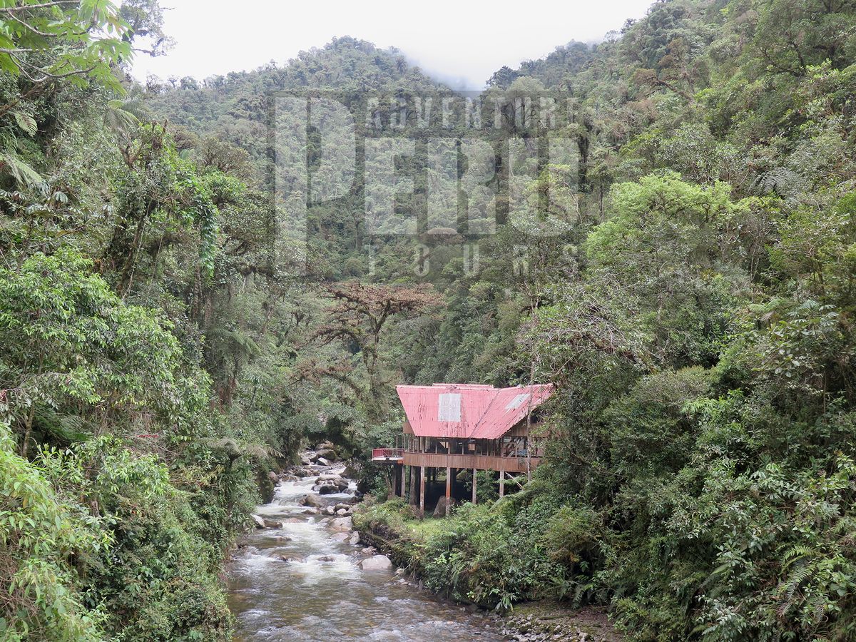 Daily trip to explore the Manu park