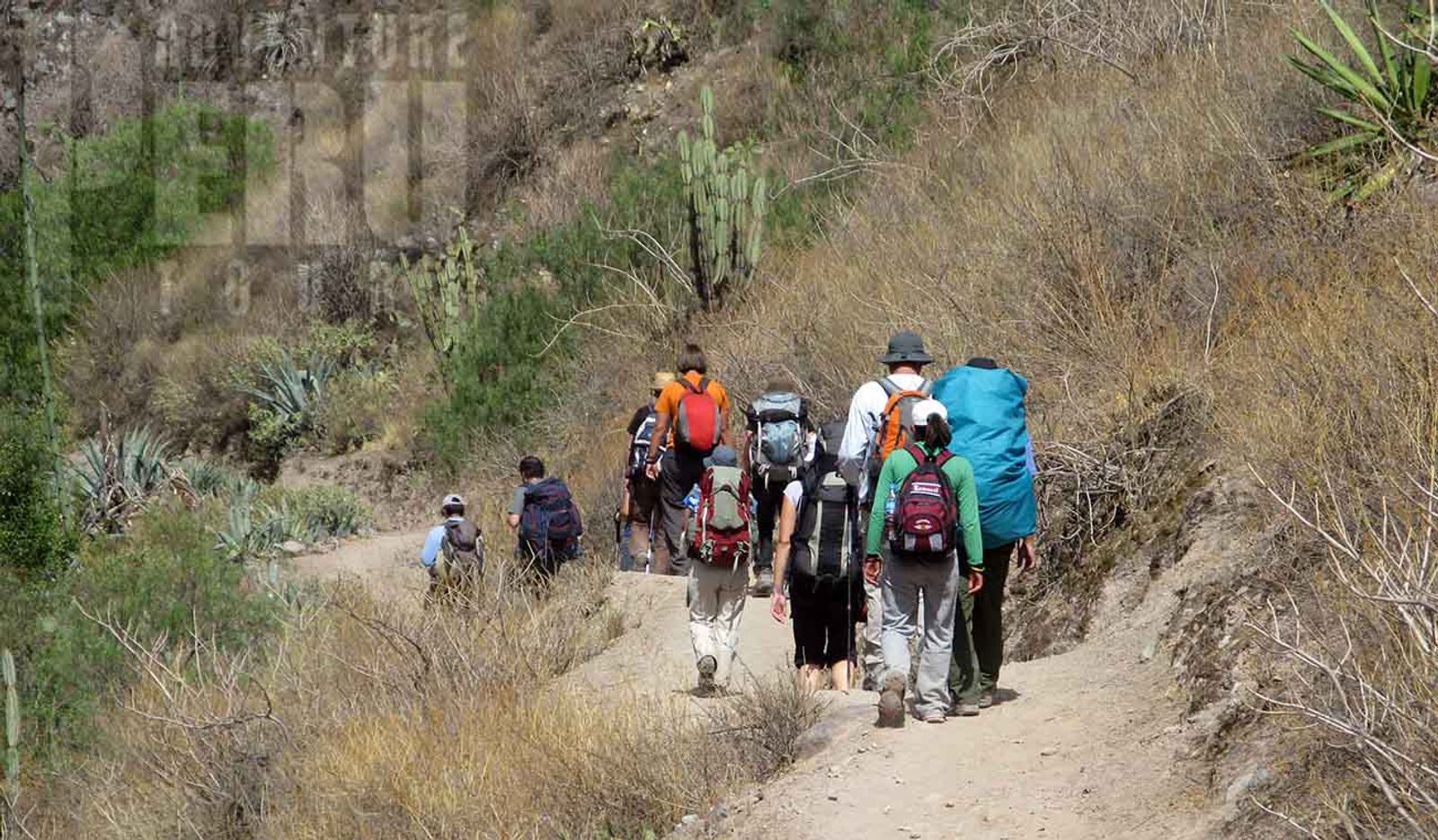 2 DAYS TREKKING IN THE COLCA CANYON - Photo 4