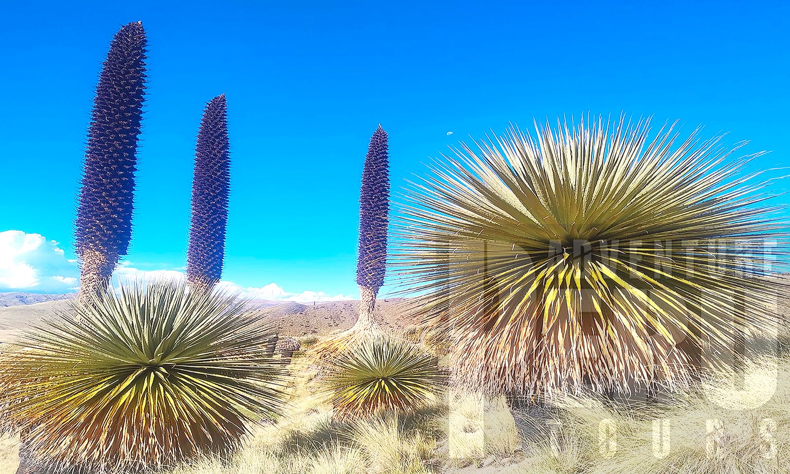 MT BIKING ADVENTURE FROM PUNO TO CUSCO - Photo 7