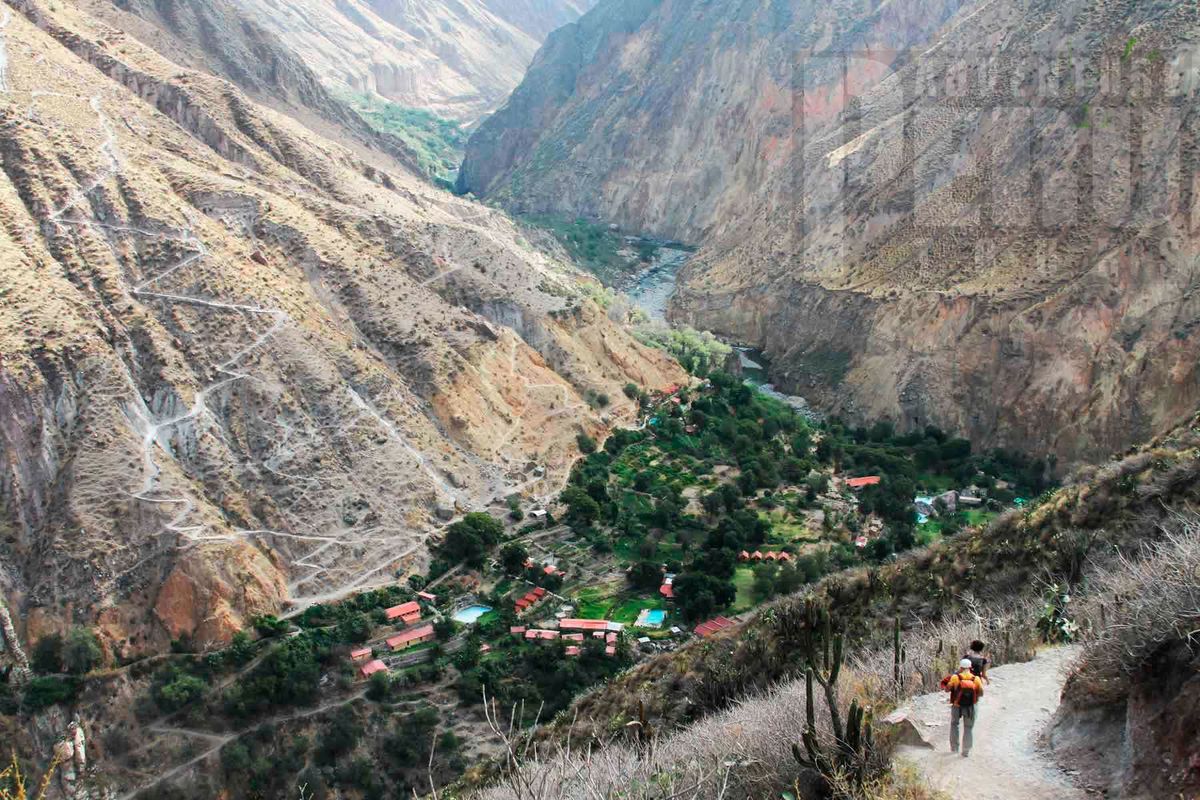 Trekking inside the Colca canyon.