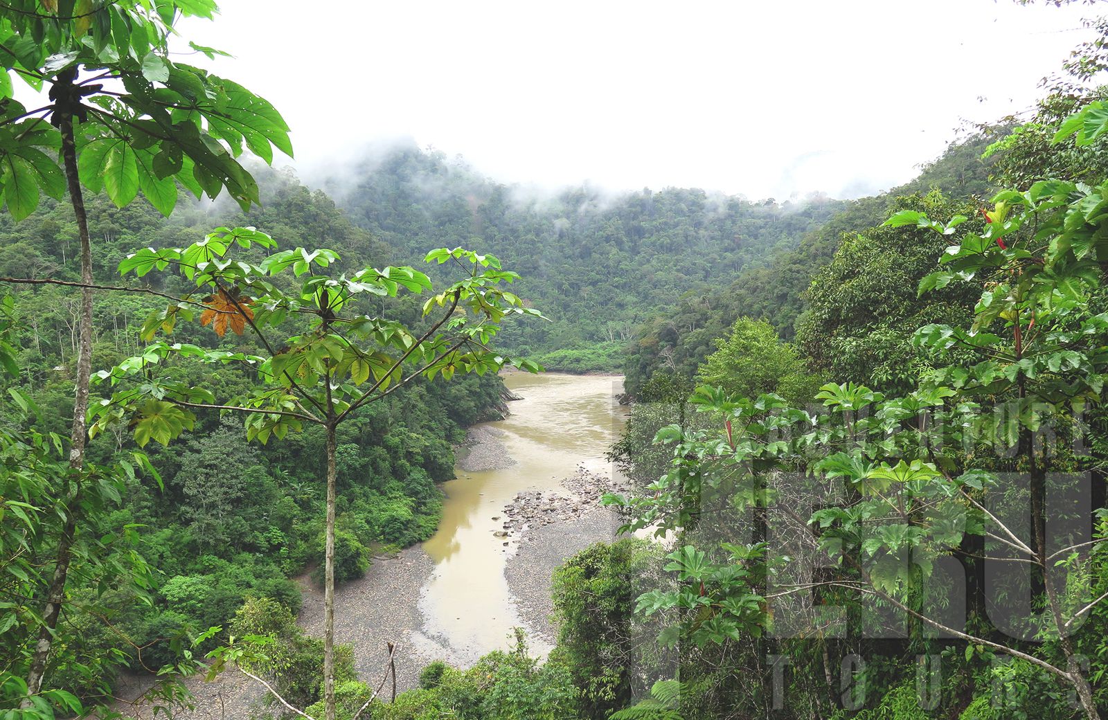 MOUNTAIN BIKE TOUR FROM CUSCO TO MANU NATIONAL PARK - Photo 5