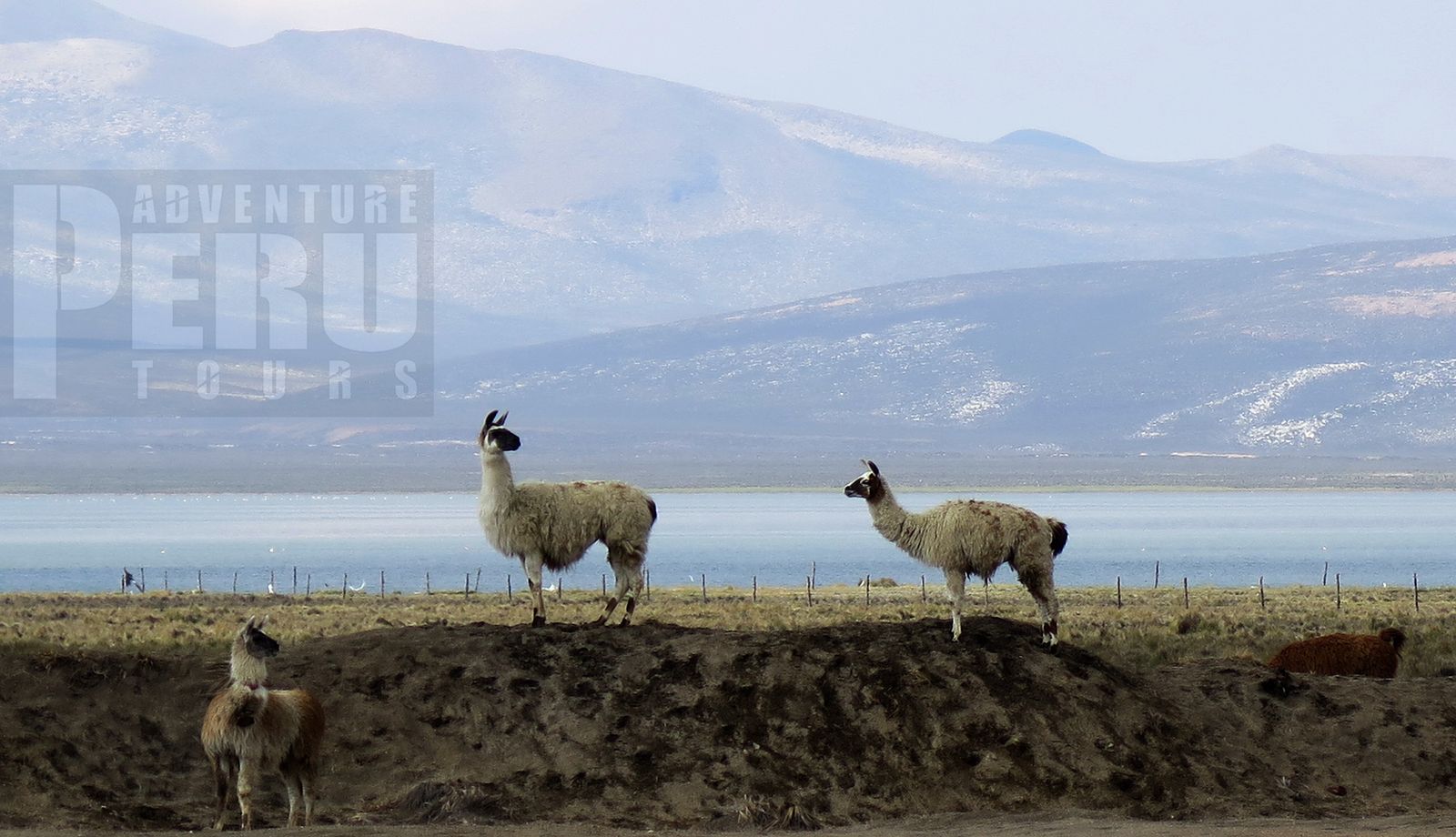 HALF DAY TOUR TO SALINAS SALT LAKE - Photo 3