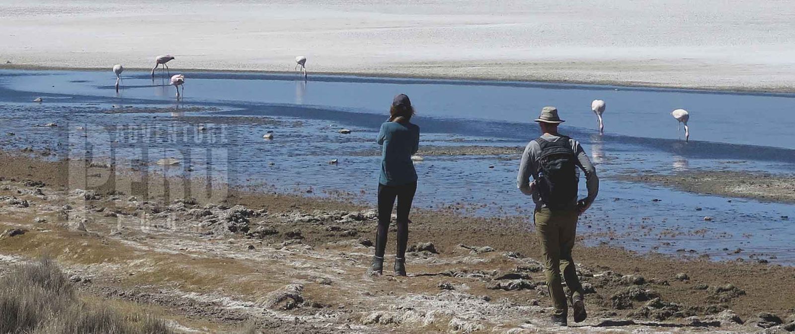 DAY TRIP & HIKING AT LAGUNA DE SALINAS AREQUIPA - Photo 2