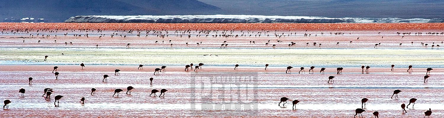 HALF DAY TOUR TO SALINAS SALT LAKE