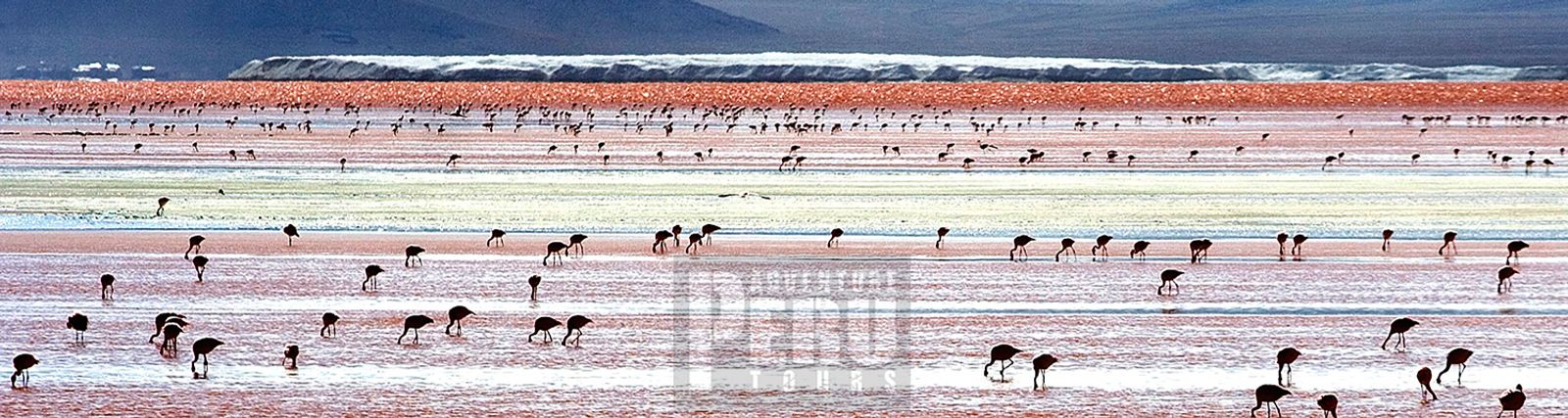 HALF DAY TOUR TO SALINAS SALT LAKE - Photo 1