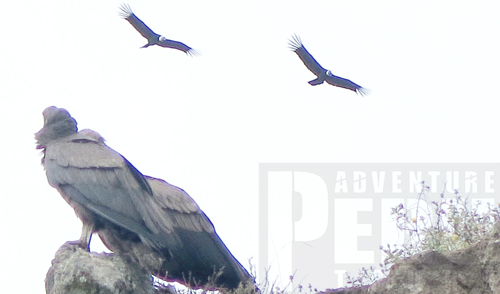 3 DAYS COLCA CANYON MIXED ADVENTURE - Photo 3