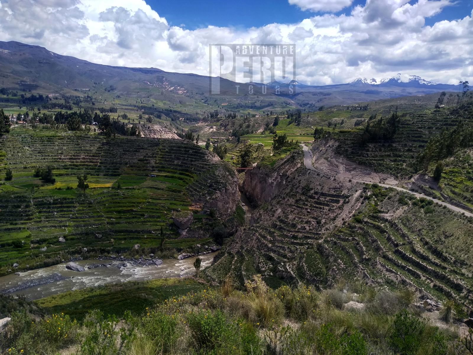 2 DAYS TRIP FROM PUNO TO COLCA CANYON AND TO AREQUIPA BY PRIVATE CAR - Photo 4