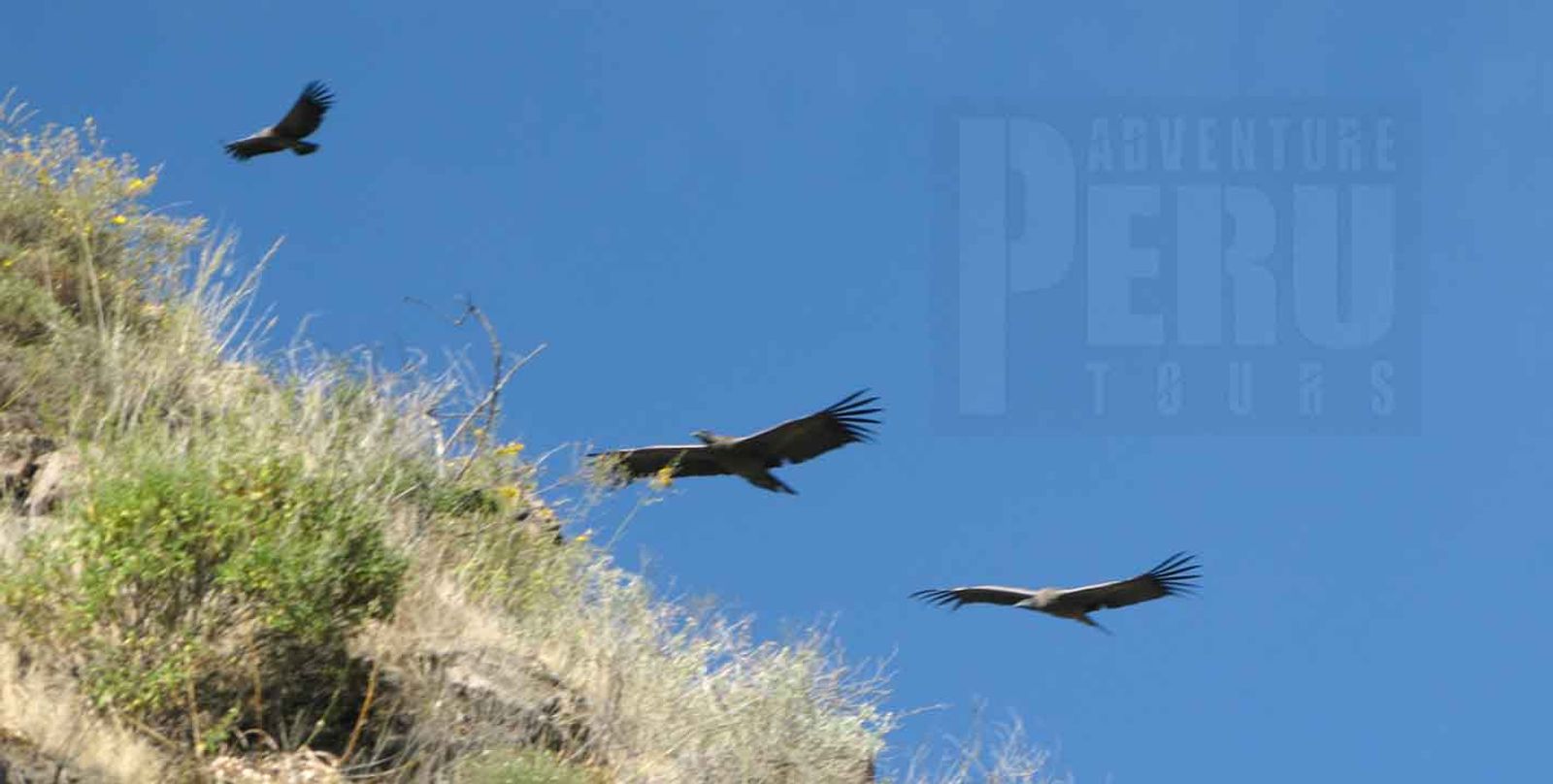 2 DAYS TREKKING IN THE COLCA CANYON - Photo 6