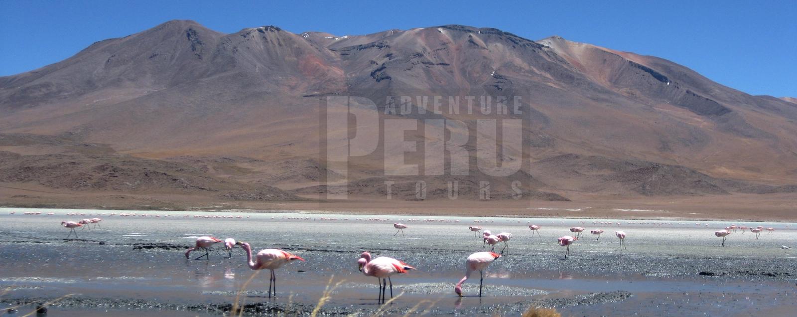 HALF DAY TOUR TO SALINAS SALT LAKE - Photo 10