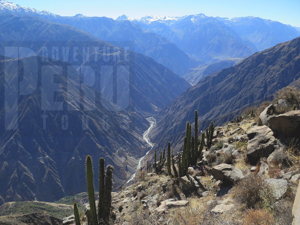 Trip to Colca canyon by PERU ADVENTURE TOURS.