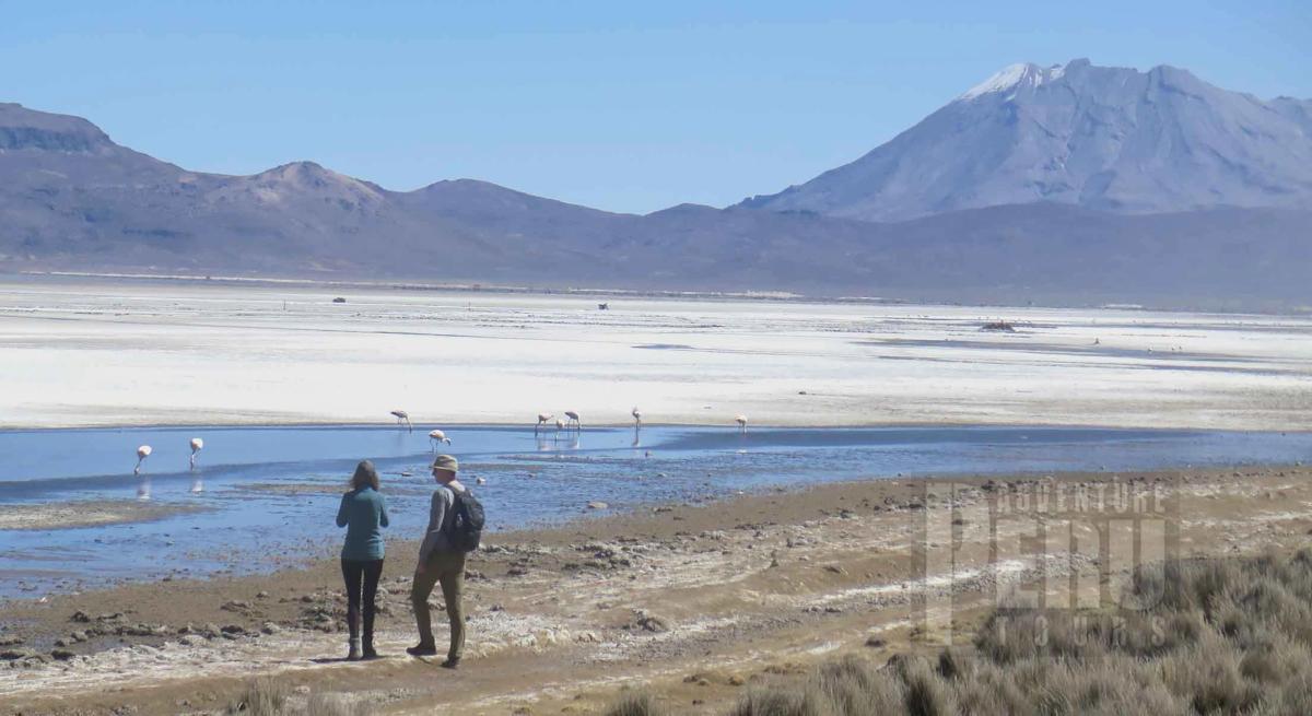 Every day hiking trips at Laguna De Salinas in Arequipa Peru.