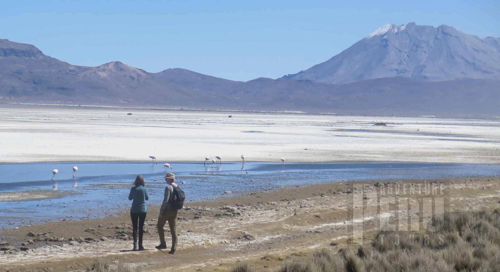 DAY TRIP & HIKING AT LAGUNA DE SALINAS AREQUIPA - Photo 4