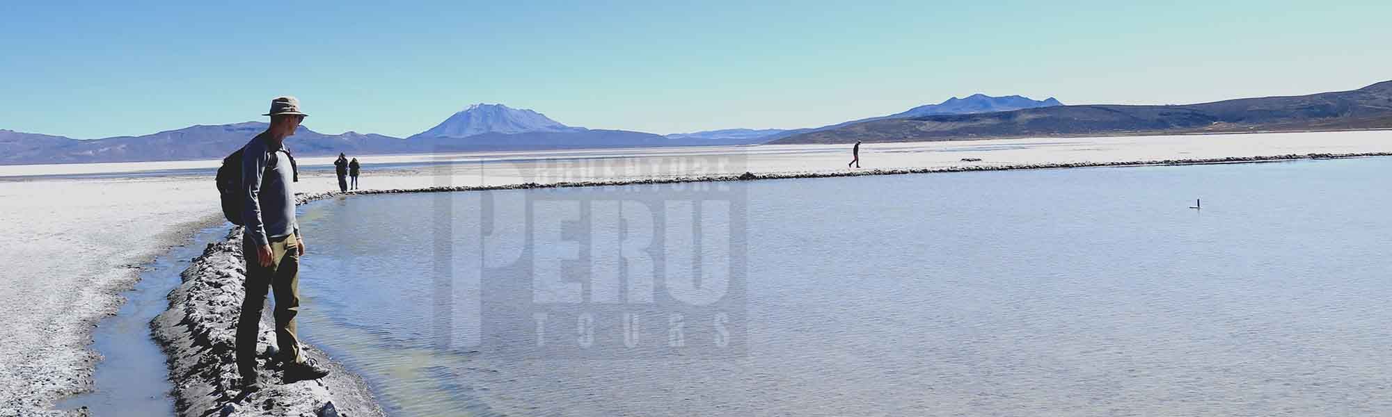DAY TRIP & HIKING AT LAGUNA DE SALINAS AREQUIPA