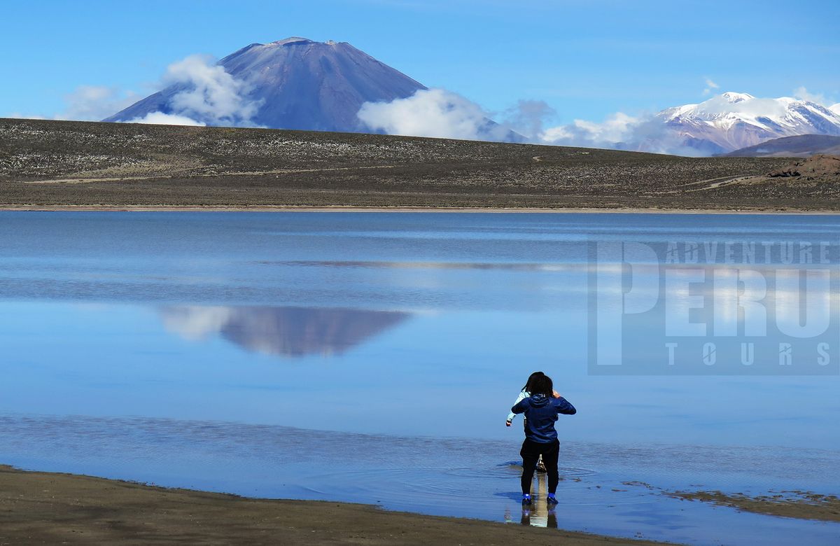 Trip to visit the lagoon of Salinas and watch the Andean flamingos.