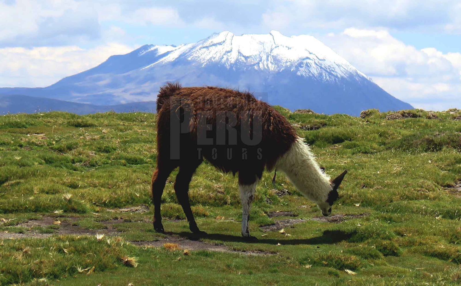 ONE DAY BIKE TRIP AROUND SALINAS SALT FLATS AND RIDE BACK DOWNHILL TO AREQUIPA - Photo 5