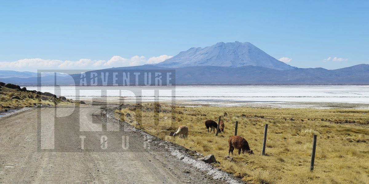 Trip from Arequipa to Punu by private car by PAT