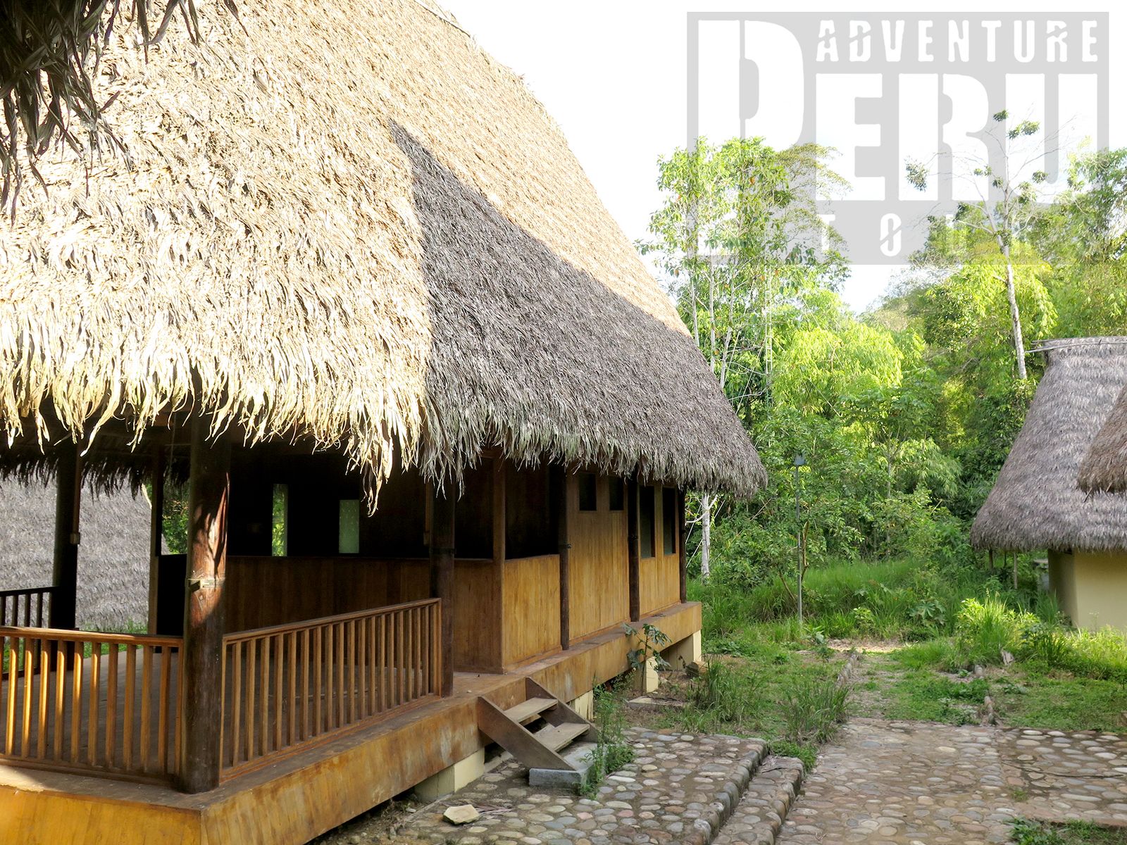 EVERY DAY TRIP TO MANU CLOUD FOREST FROM CUSCO - Photo 3