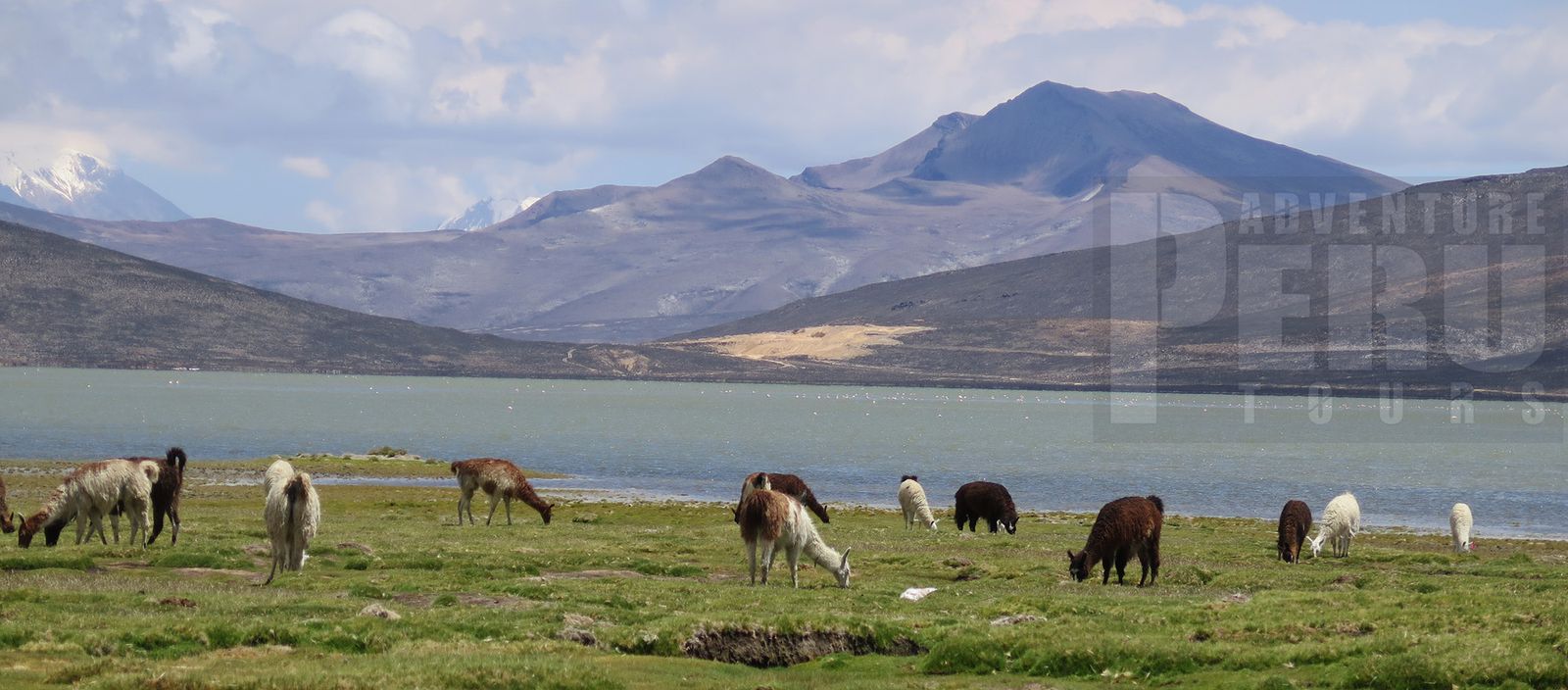 HALF DAY TOUR TO SALINAS SALT LAKE - Photo 6