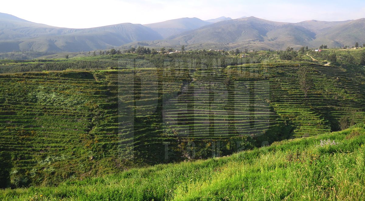 Agricultural amphitheater in the countryside of Arequipa city.
